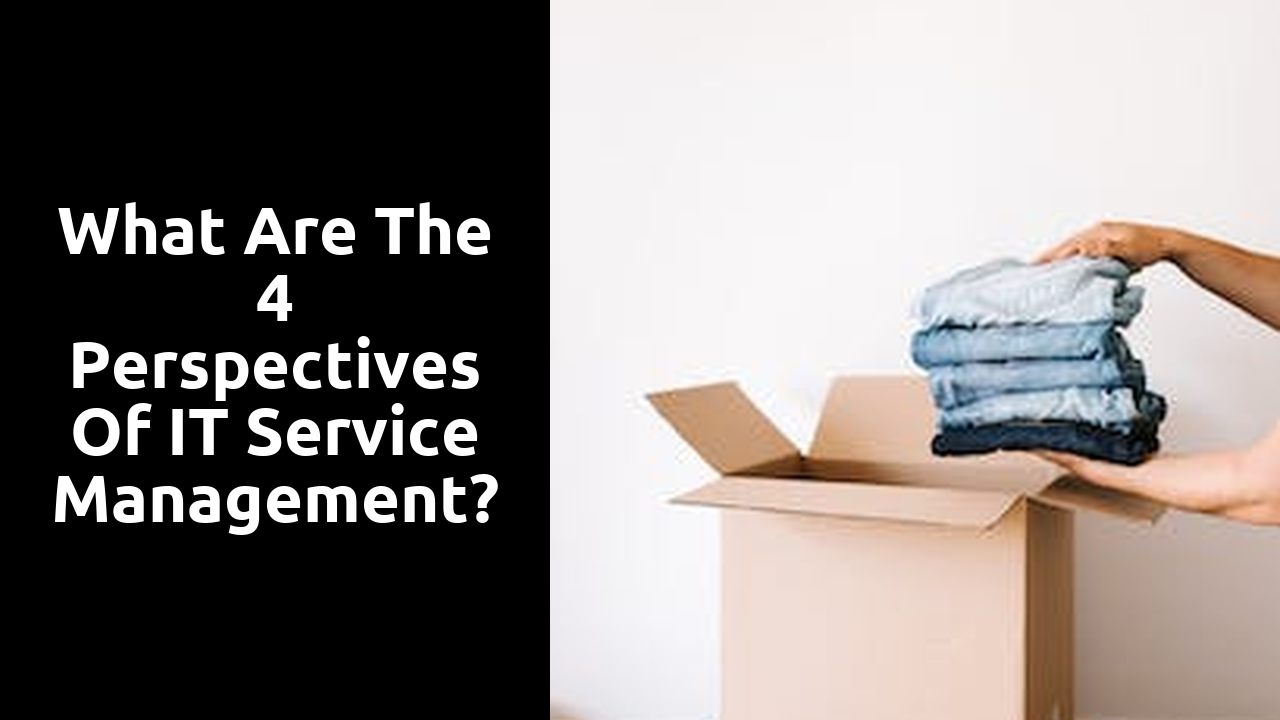 What are the 4 perspectives of IT service management?
